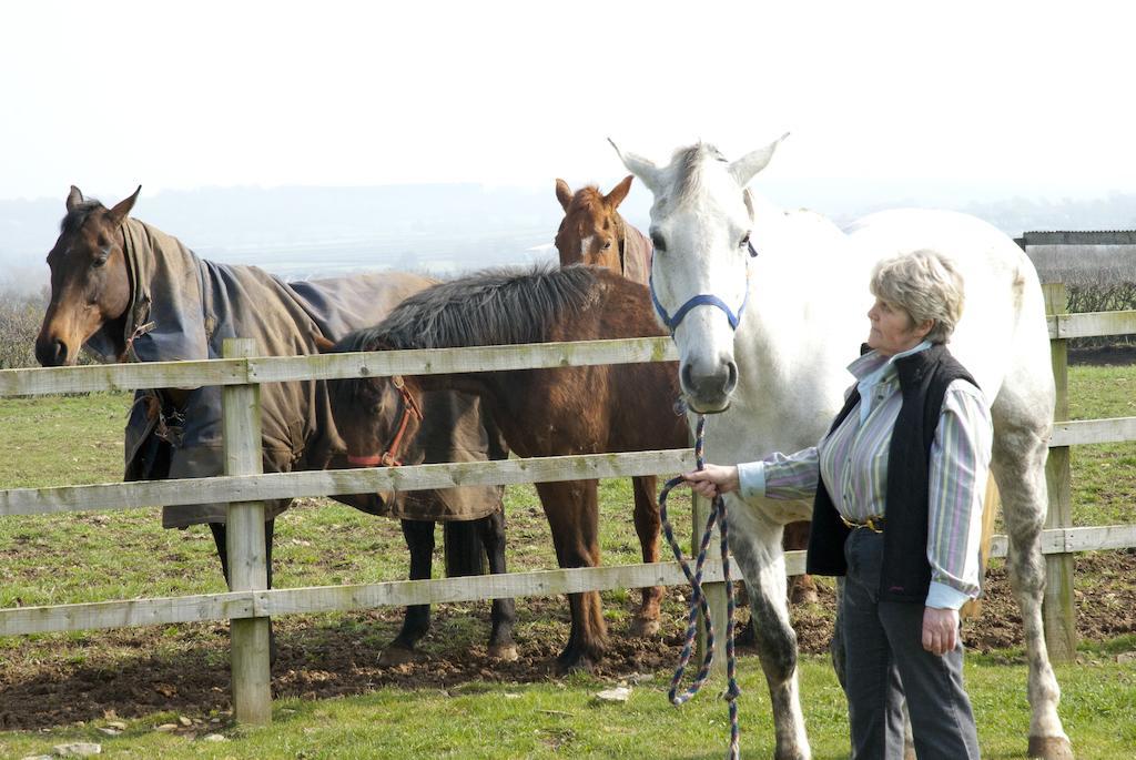 Cleers View Farm Panzió Somerton  Kültér fotó